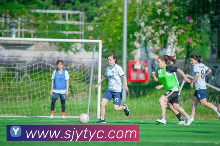 太阳城网站发展历程